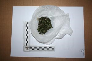 Slika \PU_SK\slike\vijesti\marihuana02.jpg